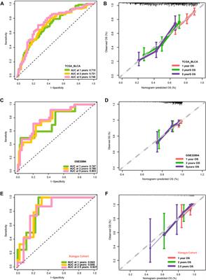 Molecular vasculogenic mimicry–Related signatures predict clinical outcomes and therapeutic responses in bladder cancer: Results from real-world cohorts